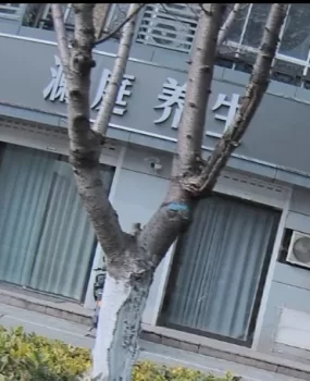 新北澜庭养生